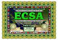ECSA-FIRST